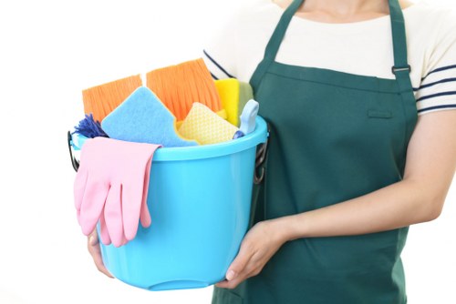 Professional sofa cleaning process in Tw1