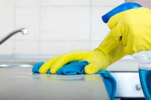 Cleaner in Tw1 performing detailed kitchen cleaning with care