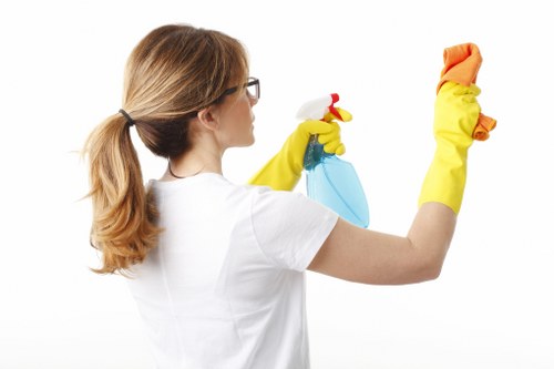 Deep stain removal and fiber care by a carpet cleaner in TW1