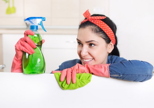 Kitchen and bathroom domestic cleaning service in Tw1